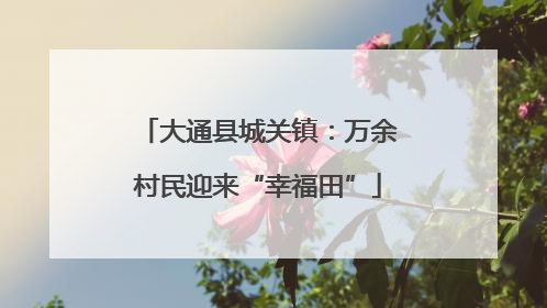 大通县城关镇：万余村民迎来“幸福田”